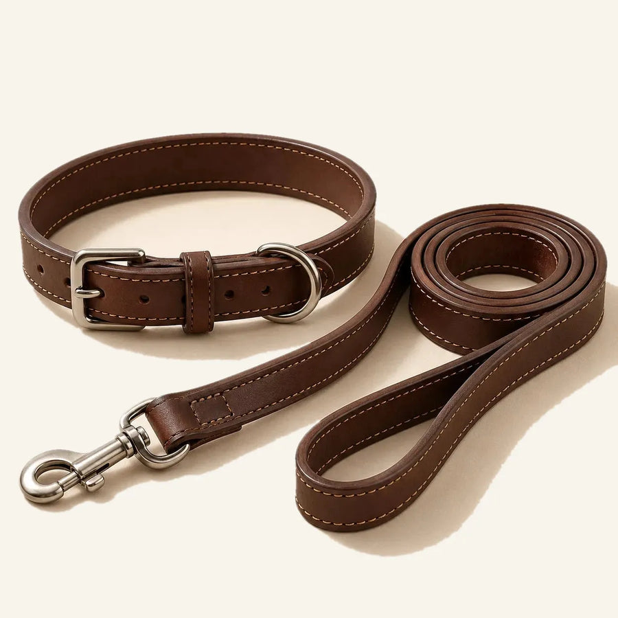 Leather dog collar with metal nameplate, hardware and stitching detail