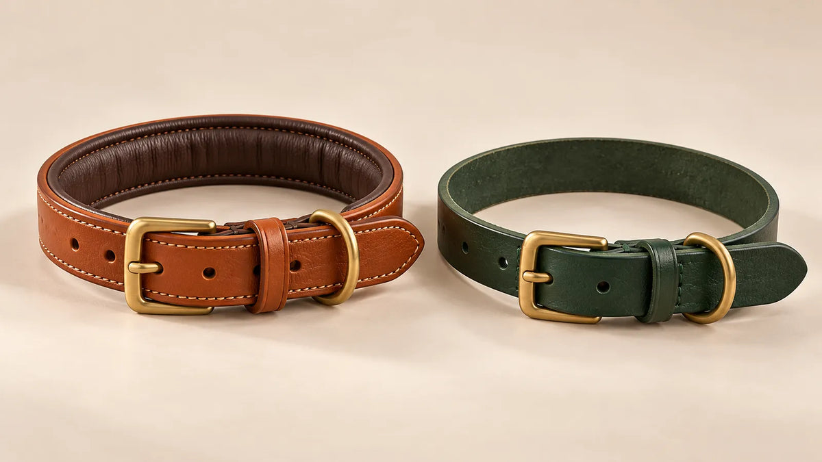 AI concept comparing a padded leather dog collar and a plain unlined collar