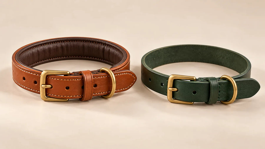 AI concept comparing a padded leather dog collar and a plain unlined collar