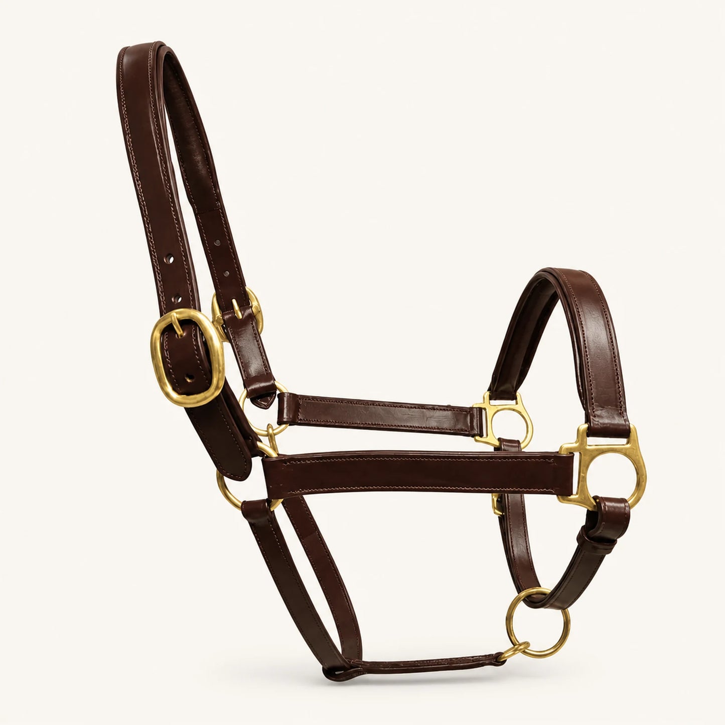 Custom padded dark brown leather horse halter with brass hardware