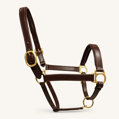 Custom padded dark brown leather horse halter with brass hardware