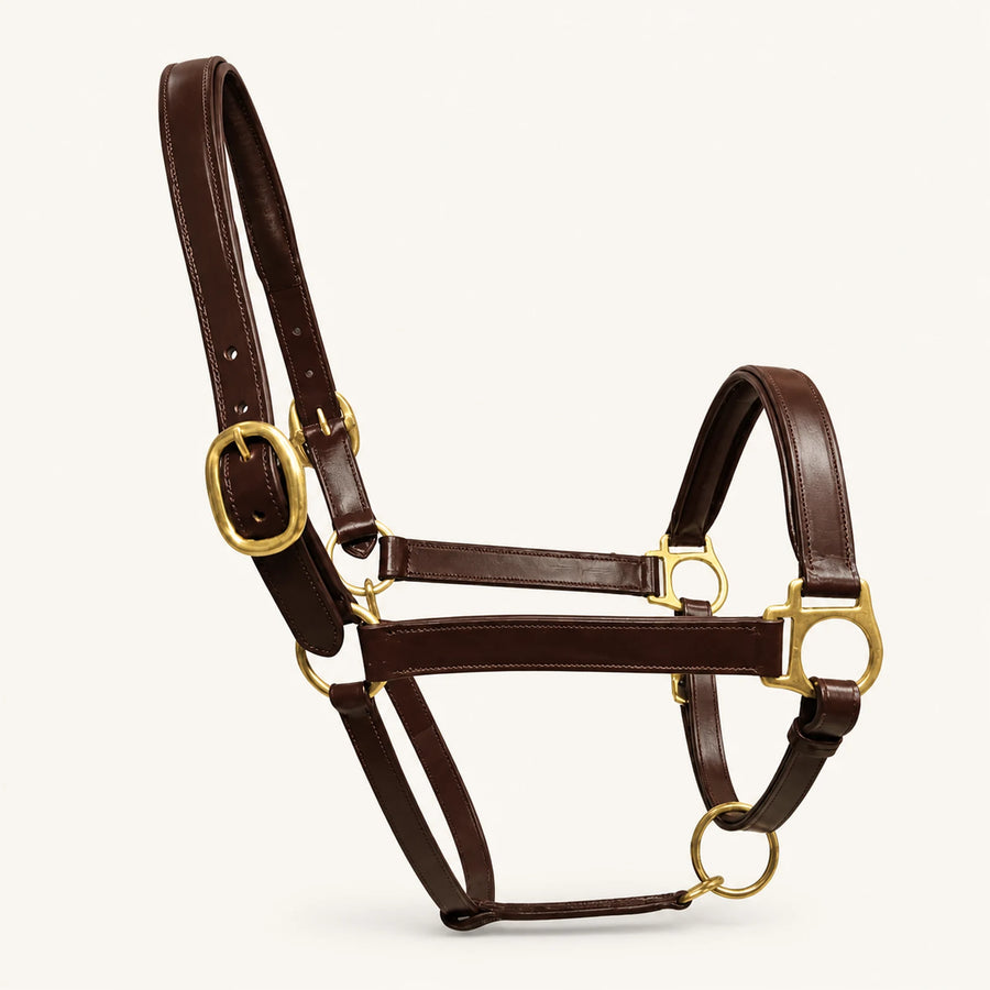 Custom padded dark brown leather horse halter with brass hardware