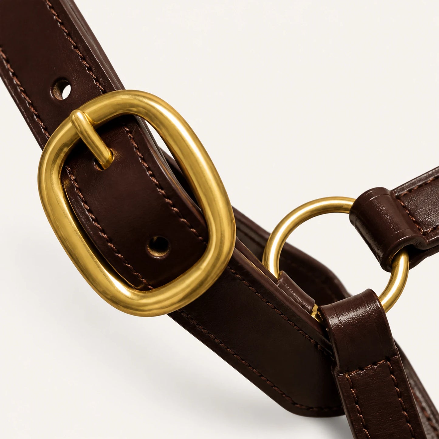 Close-up of brass halter buckle ring and leather keeper construction