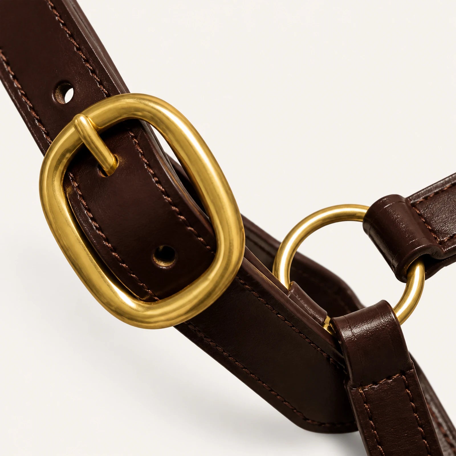 Close-up of brass halter buckle ring and leather keeper construction