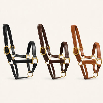 Black Havana brown and cognac padded leather halter color options
