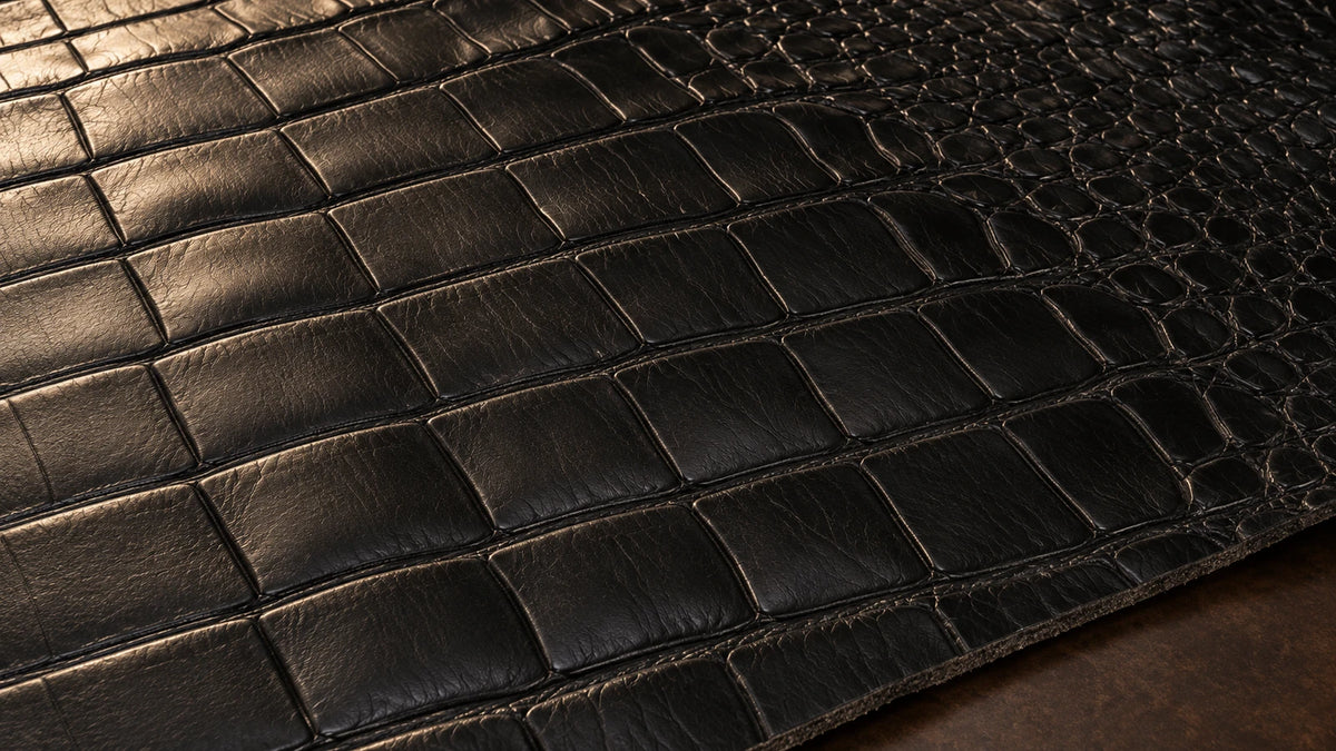 Black crocodile leather surface with large scale divisions