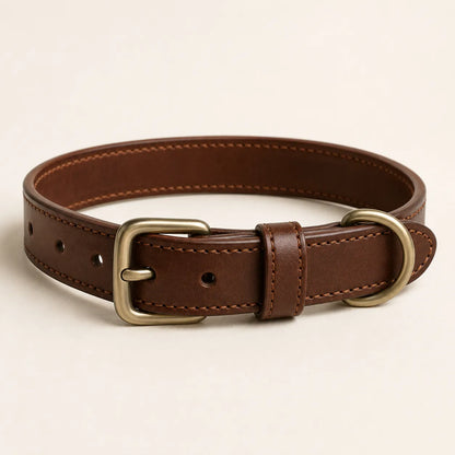 Classic brown leather dog collar concept sample for OEM ODM manufacturing