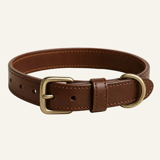 Classic brown leather dog collar concept sample for OEM ODM manufacturing