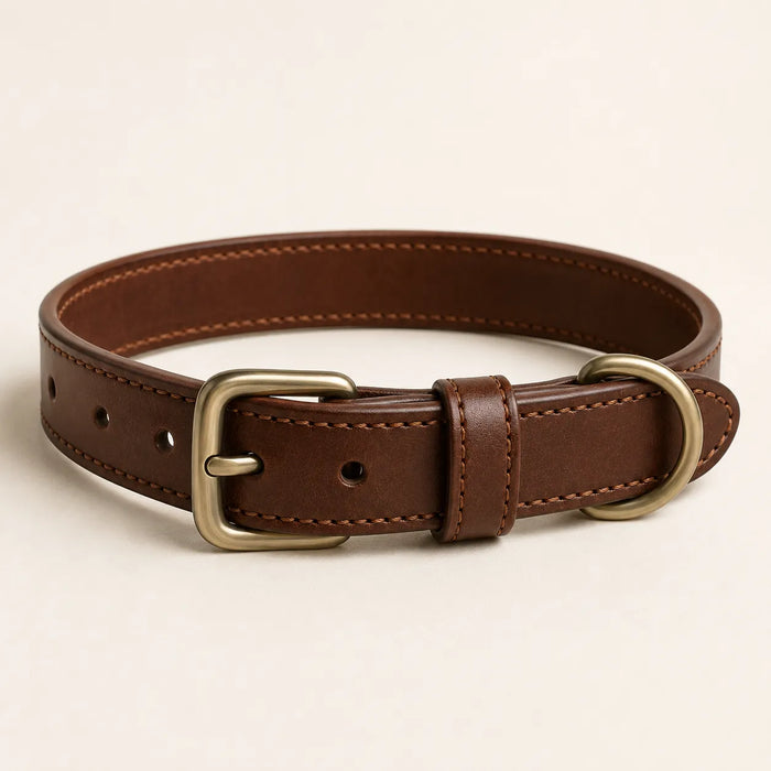 Classic brown leather dog collar concept sample for OEM ODM manufacturing
