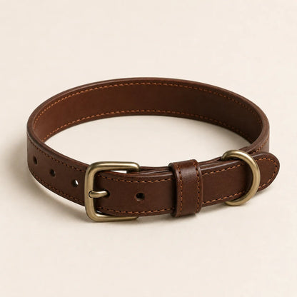 Angled view of classic leather dog collar with buckle and stitching