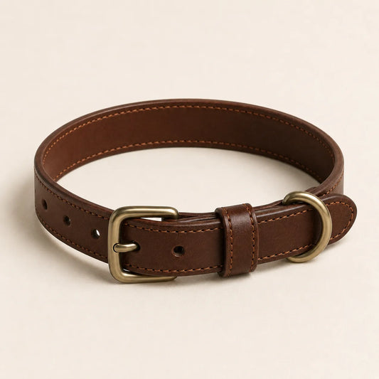 Angled view of classic leather dog collar with buckle and stitching