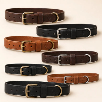 Embossed leather dog collar private label customization options
