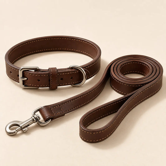 Brown leather dog collar and leash set concept sample for OEM ODM orders