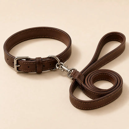 Angled view of matching leather dog collar and leash set