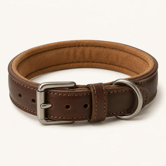 Padded brown leather dog collar concept sample for OEM ODM orders