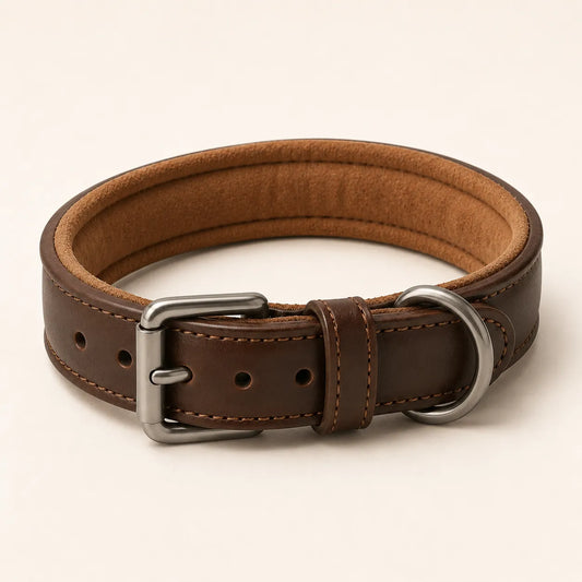 Angled view of padded leather dog collar with soft inner lining