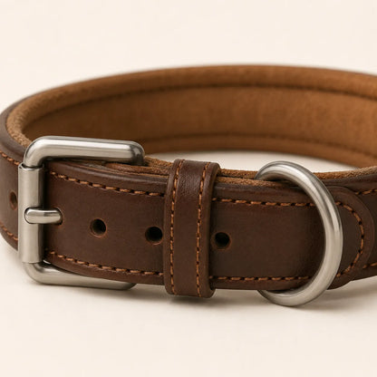 Buckle D-ring stitching and edge detail on padded leather dog collar
