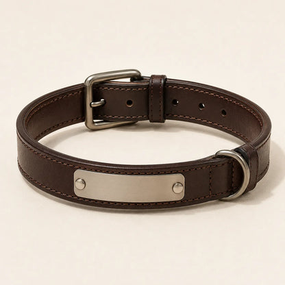 Personalized brown leather dog collar with blank nameplate concept sample