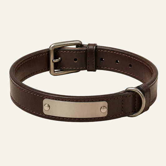 Personalized brown leather dog collar with blank nameplate concept sample
