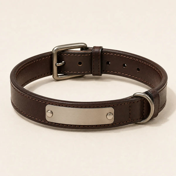 Personalized brown leather dog collar with blank nameplate concept sample