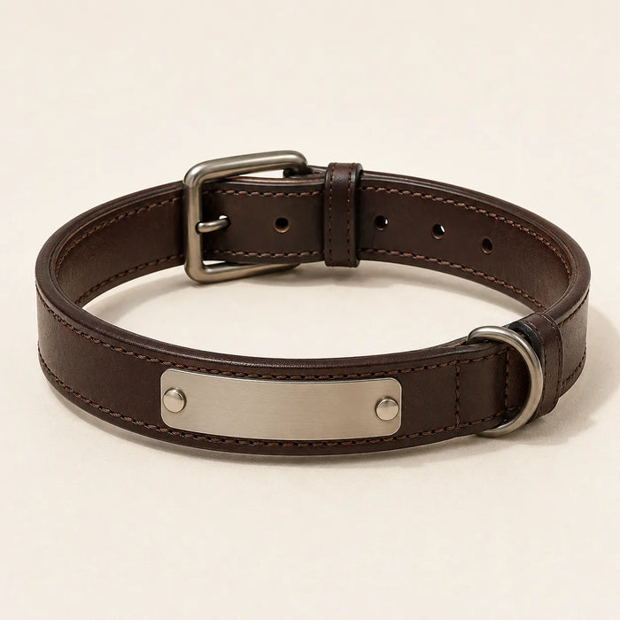 Personalized brown leather dog collar with blank nameplate concept sample
