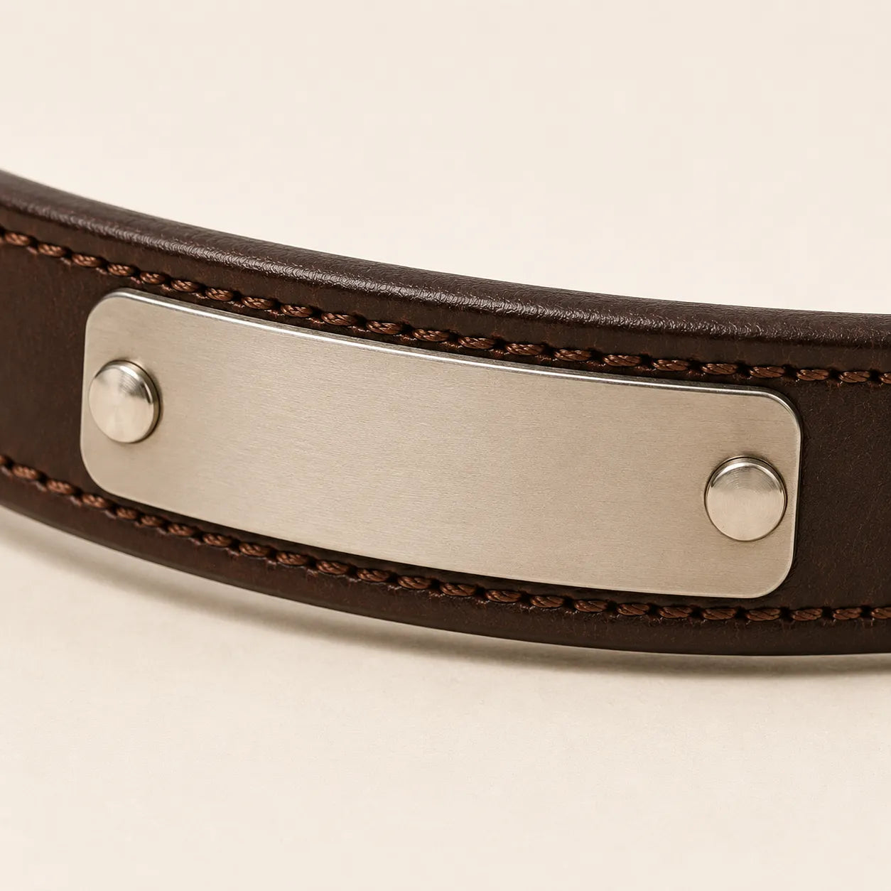 Close-up of blank metal nameplate on brown leather dog collar