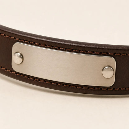 Close-up of blank metal nameplate on brown leather dog collar