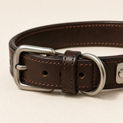 Buckle hardware stitching and leather edge detail on nameplate dog collar
