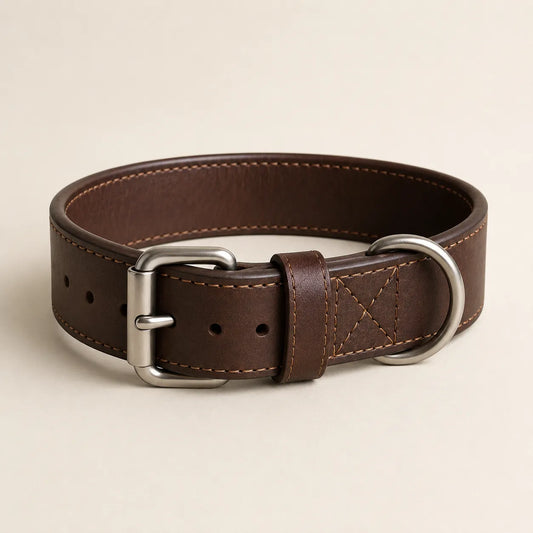 Wide brown leather dog collar for large dogs concept sample
