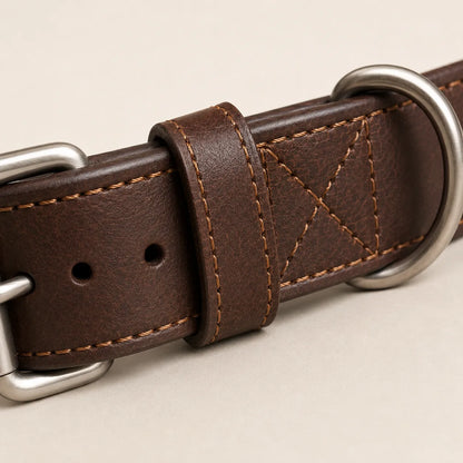 Close-up of reinforced stitching and wide leather strap on dog collar