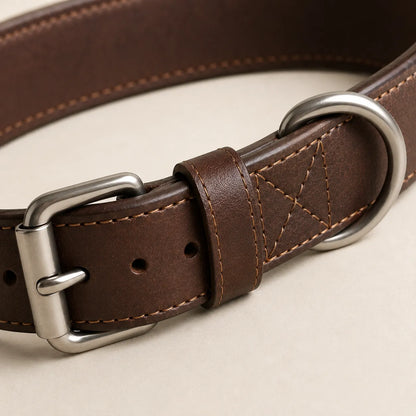 Heavy-duty buckle D-ring and adjustment holes on wide leather dog collar