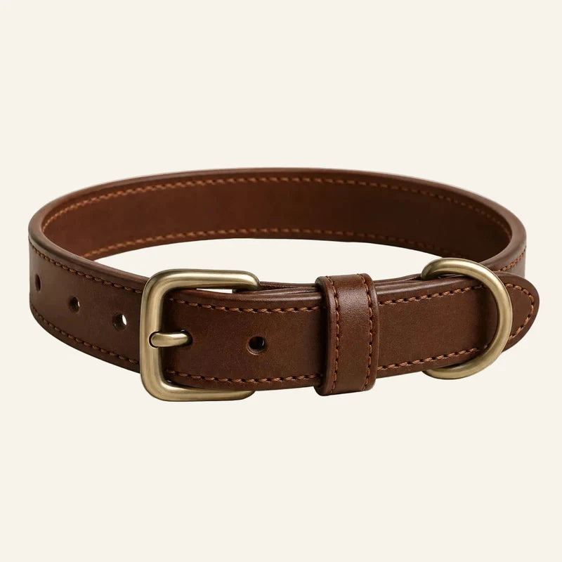 Collar clásico de cuero para perros — original color preview image