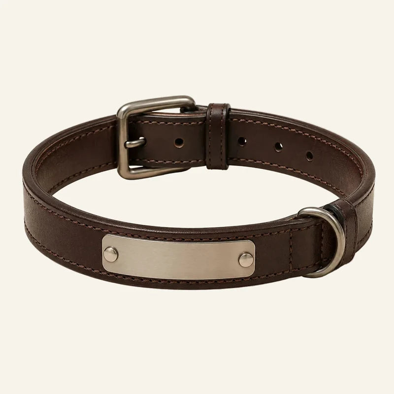 Collar de cuero personalizado para perros con placa identificativa — original color preview image